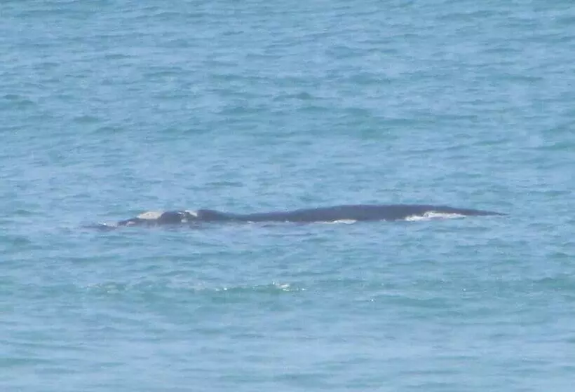 Majatalo Melkhoutkloof Guest House