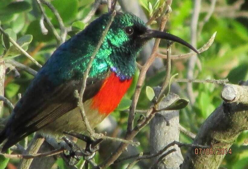 بنسيون Melkhoutkloof Guest House