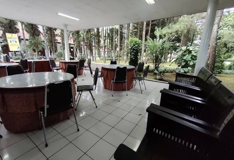 Пансион Roemah Ywi