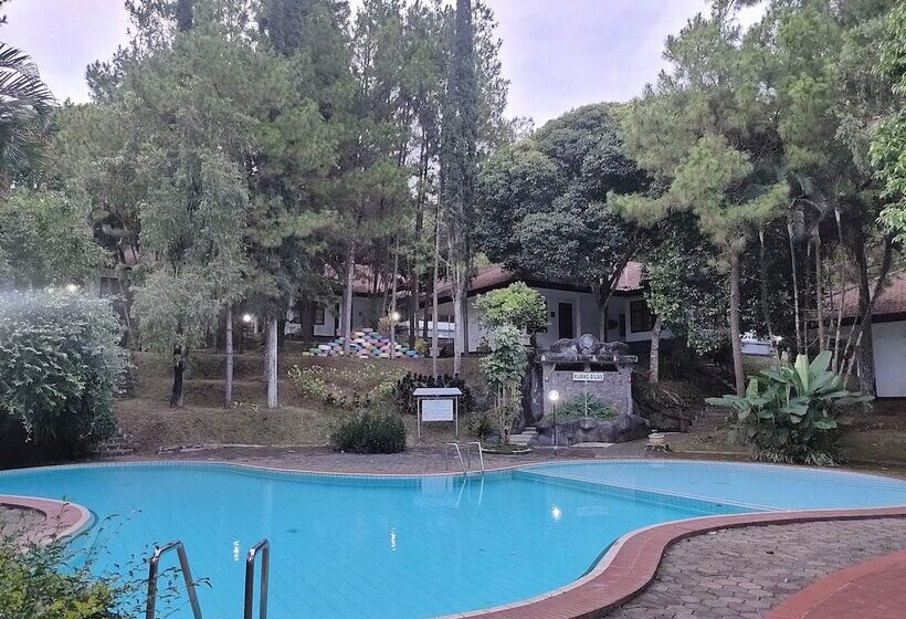 Пансион Roemah Ywi