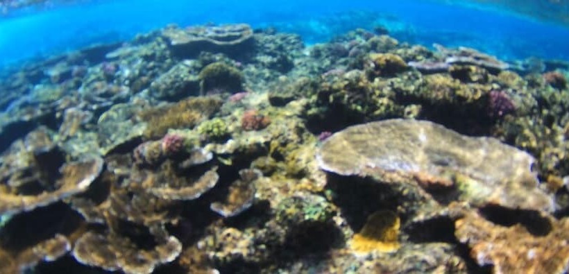 پانسیون Vaiula Beach Fales