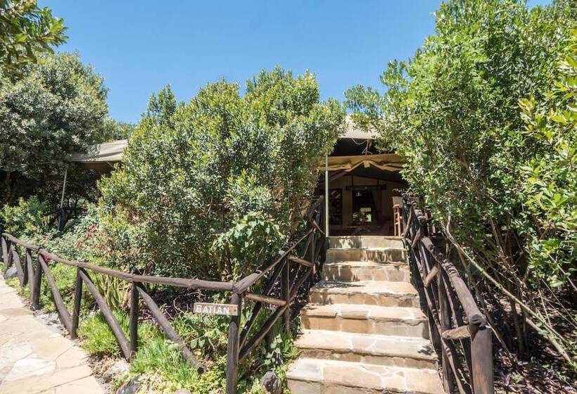 هتل Rhino Watch Safari Lodge