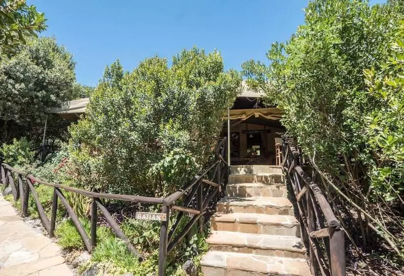 هتل Rhino Watch Safari Lodge