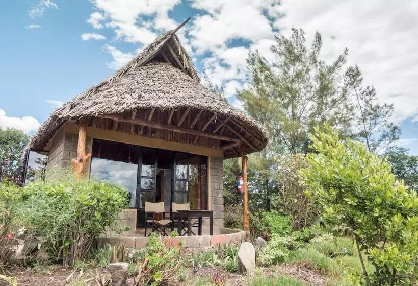 هتل Rhino Watch Safari Lodge