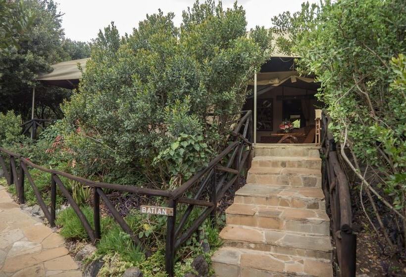 هتل Rhino Watch Safari Lodge