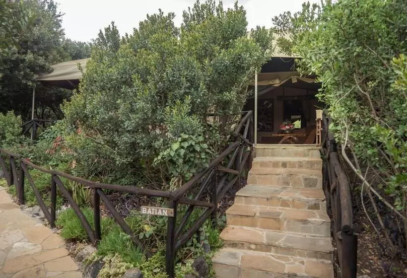 هتل Rhino Watch Safari Lodge