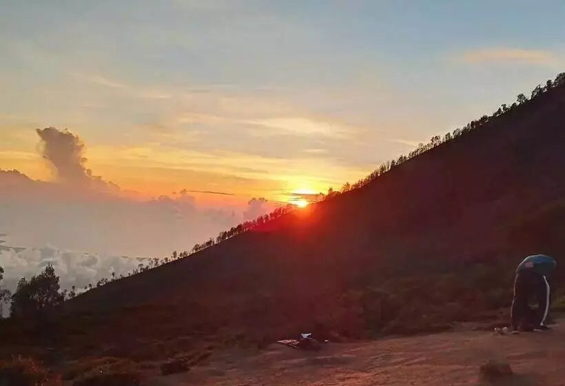 پانسیون Kawah Ijen Guest House