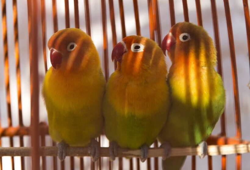 Riad Tamayourt Ocean View & Piscine Chauffée à 30