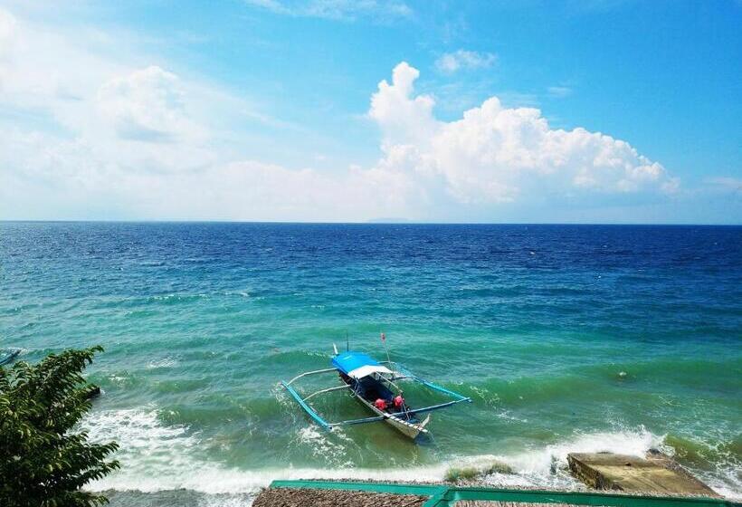 Отель Blue Ribbon Dive Resort