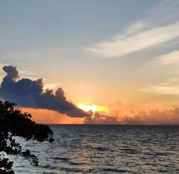 Hotelli Blue Ribbon Dive Resort