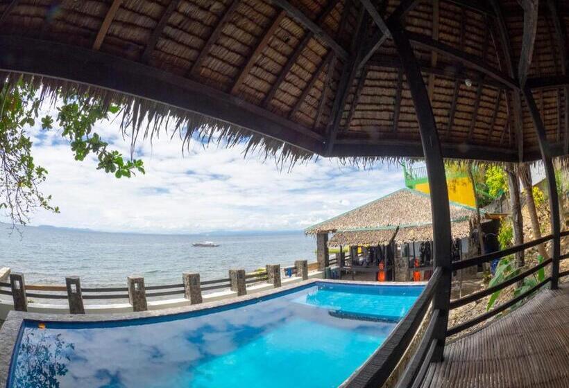 Отель Blue Ribbon Dive Resort