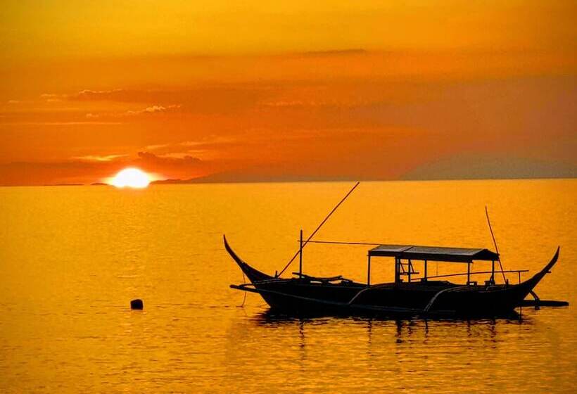 Отель Blue Ribbon Dive Resort