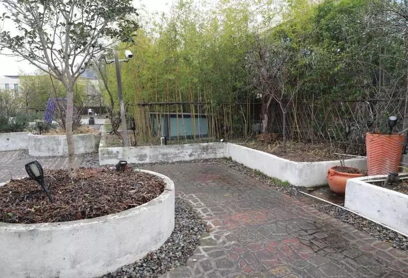 Shanghai Pudong Airport Moonlo Hotel   Pet Friendly