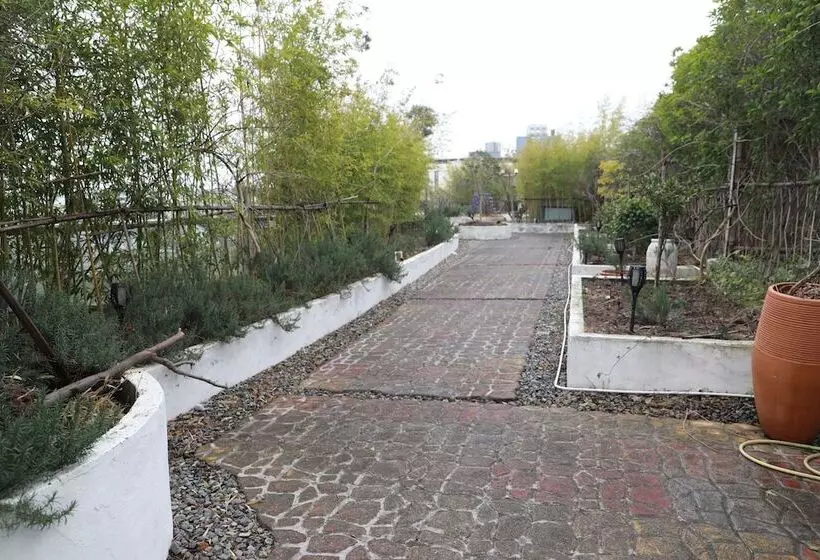 Shanghai Pudong Airport Moonlo Hotel   Pet Friendly