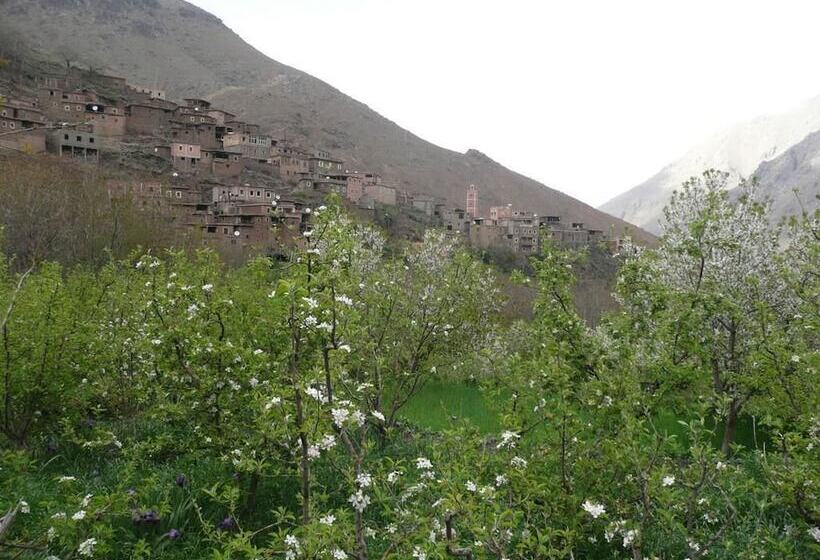 بنسيون Atlas Mazik Lodge Mountain Views
