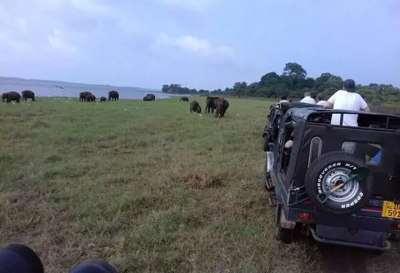 Majatalo Prasad Suomi Villa