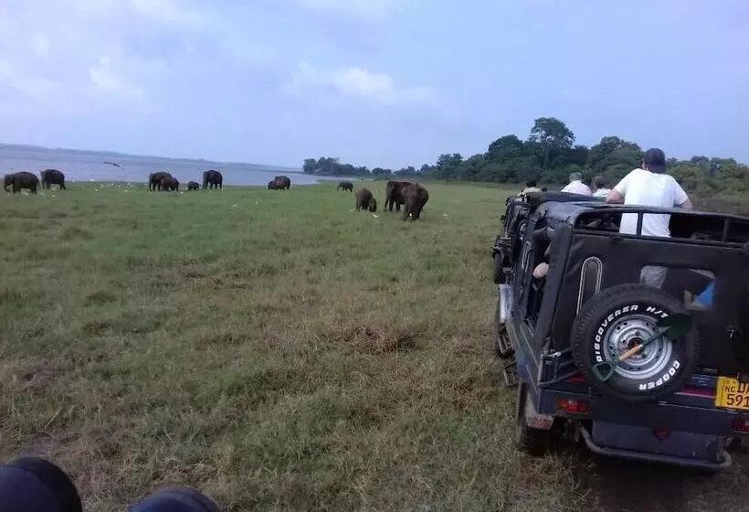 Majatalo Prasad Suomi Villa