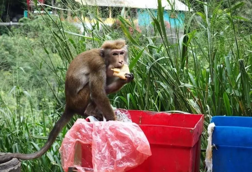 Majatalo Prasad Suomi Villa