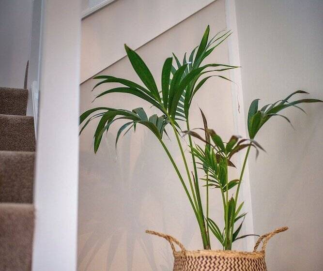 פנסיון Taim Lodge