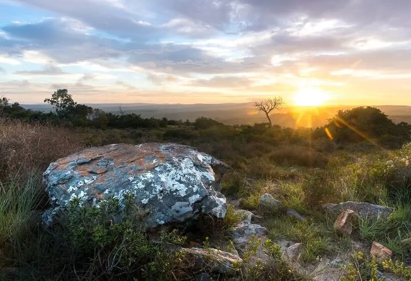 Hotelli Shamwari Bayethe