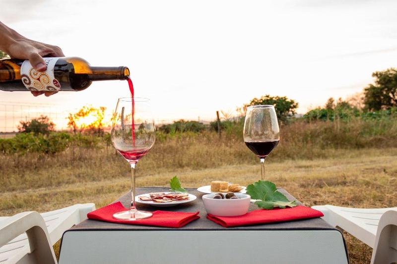 Monte Do Colmeal Country House & Wine