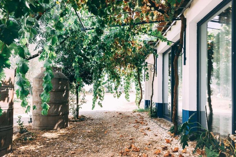 Monte Do Colmeal Country House & Wine