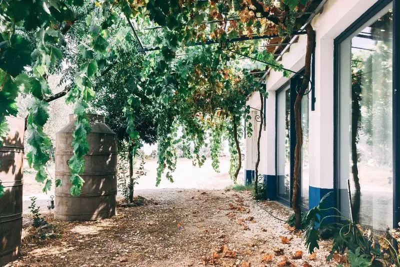 Monte Do Colmeal  Country House & Wine