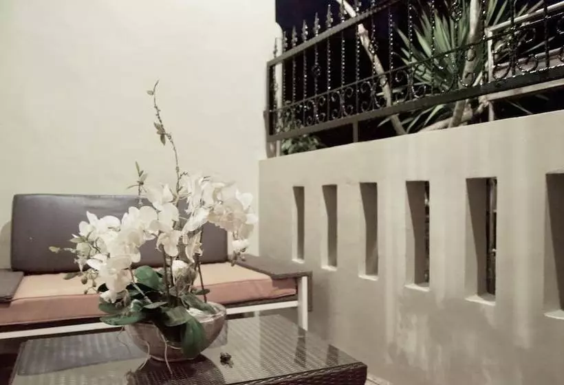پانسیون Cozy Palm Villa