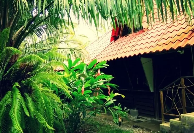 Villas María Luisa Lodge