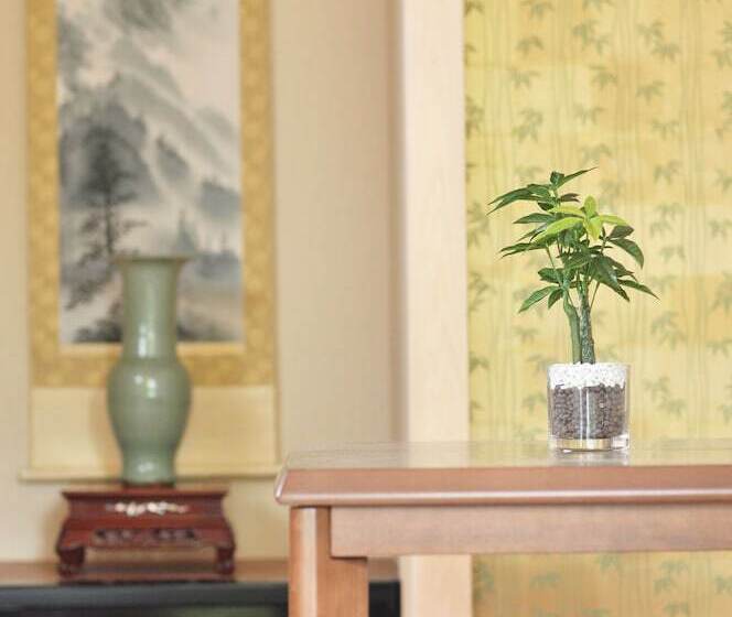 Shirakabanoyado Setsugetsu