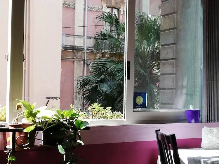 تختخواب و صبحانه Aloi Rooms