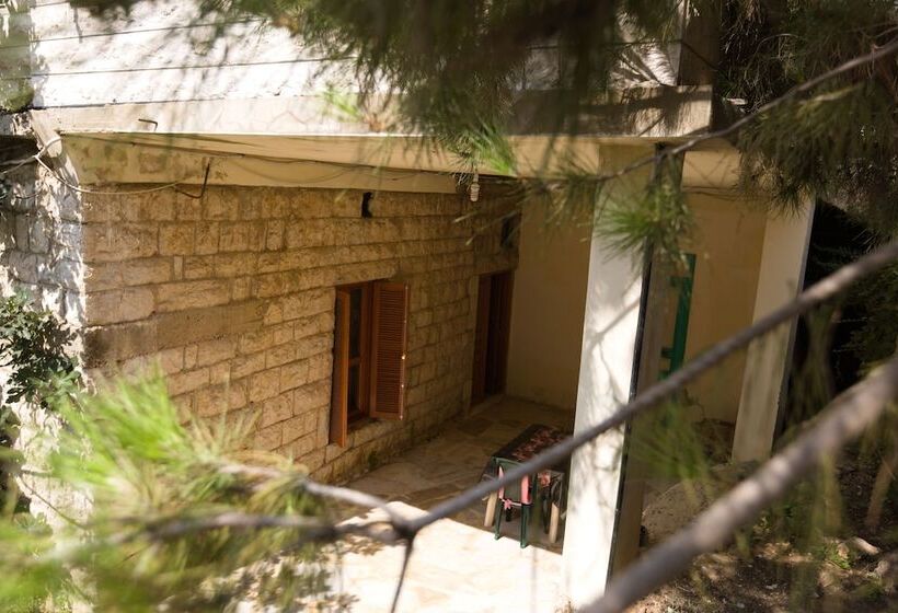 Boustany Guest House   Hostel