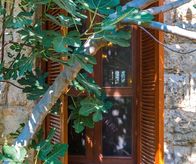 Boustany Guest House   Hostel