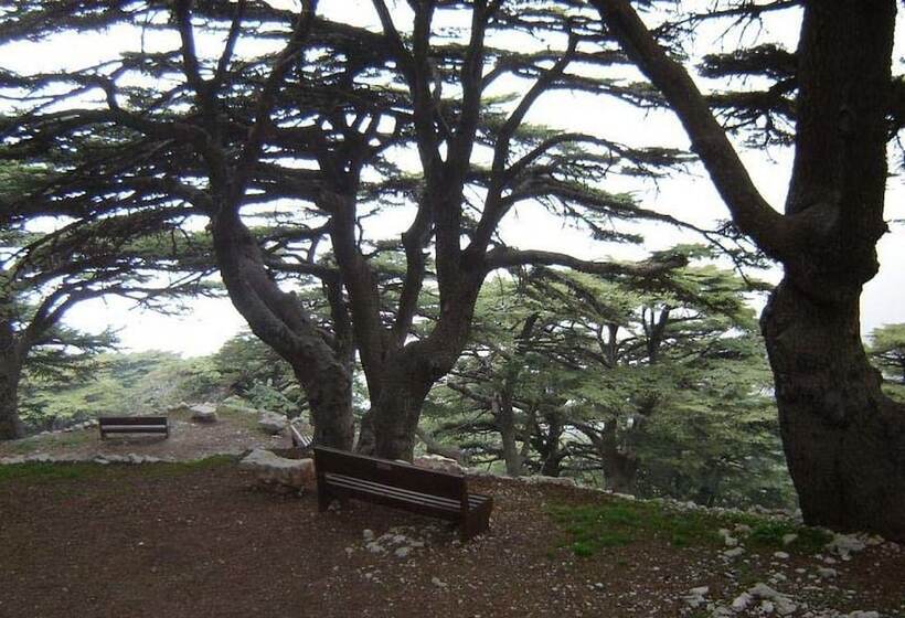 Boustany Guest House   Hostel