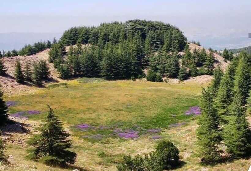 Boustany Guest House   Hostel