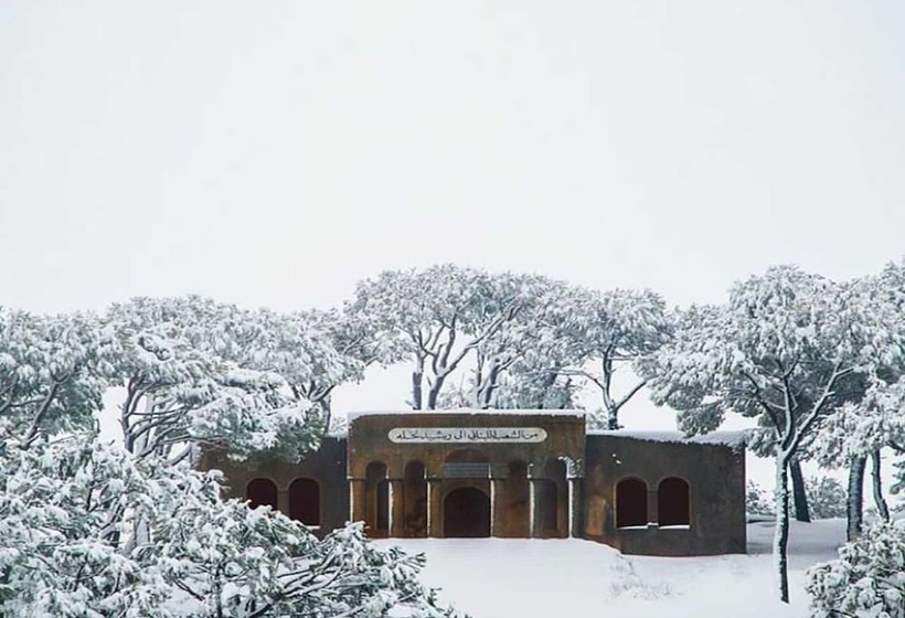 Boustany Guest House   Hostel