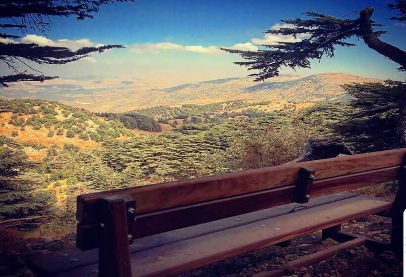 Boustany Guest House   Hostel