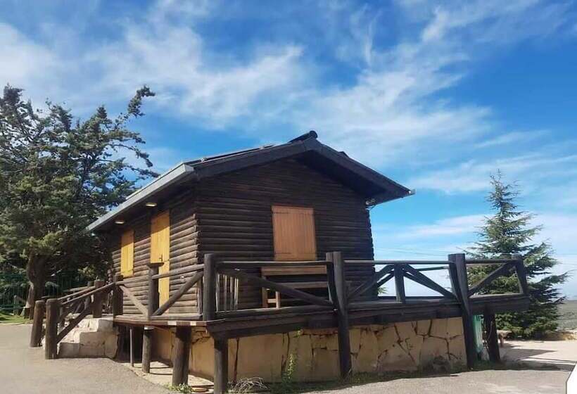 Boustany Guest House   Hostel