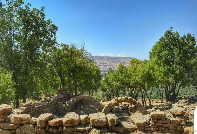 Boustany Guest House   Hostel