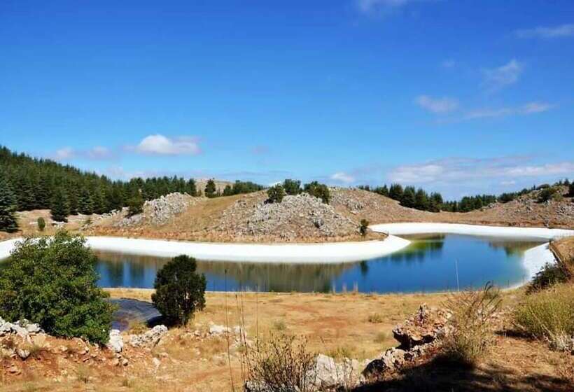 Boustany Guest House   Hostel