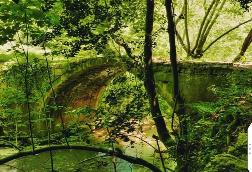 Boustany Guest House   Hostel