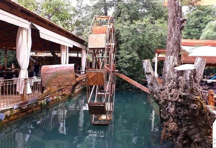 Boustany Guest House   Hostel