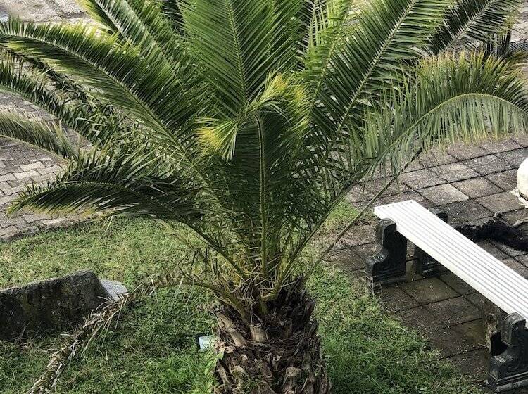 Europa Hotel Kutaisi