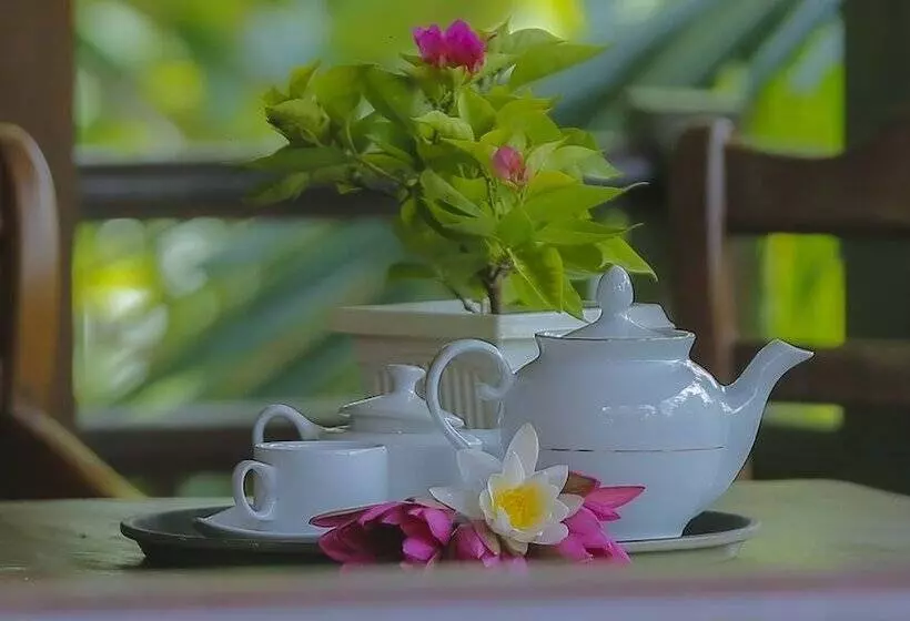 هتل Silver Crown Nature Resort