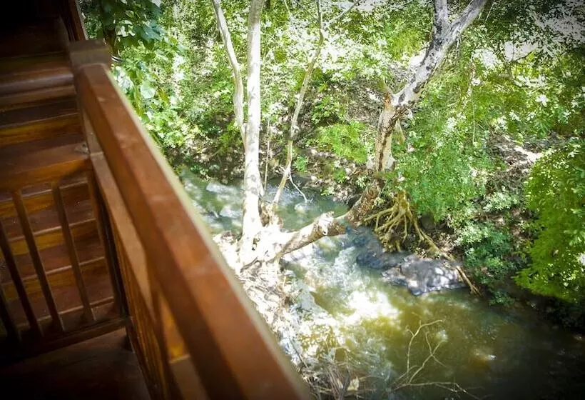 هتل Silver Crown Nature Resort