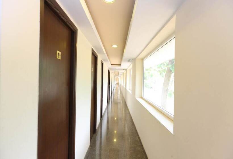 בית מלון כפרי Tommaso Inn