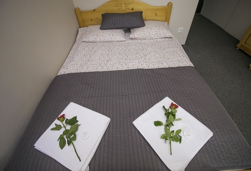 펜션 Willa Nad Potokiem