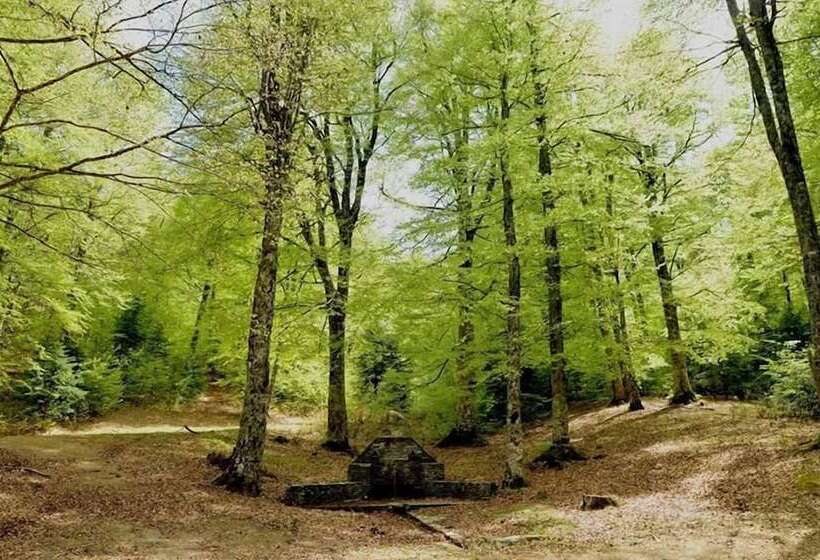 Anastasia Apartments