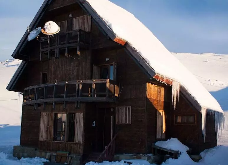 Big Trip Hostel