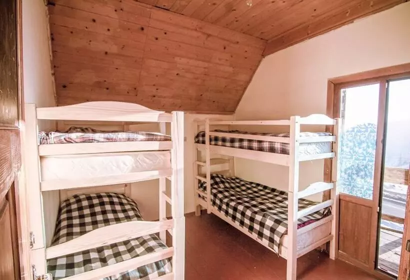 Big Trip Hostel